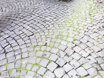 La città invasa dall'erba