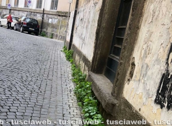 La città nell'abbandono