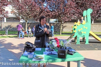 Viterbo - Maria Immordillo