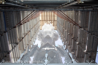 La consegna di ciuffi e spallette