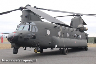 La costituzione del terzo Reos