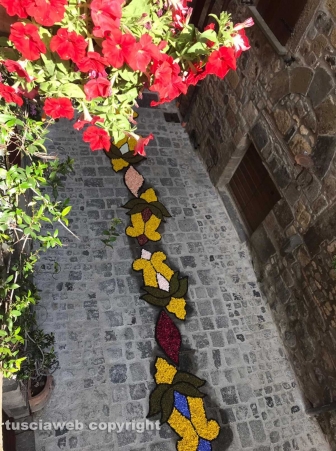 Bolsena - L'infiorata 2019 - Foto di Cecilia Saccarelli