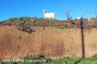 La discarica del Cinelli nel 2022