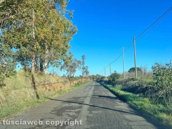 WhatsApp-Image-2022-12-12-at-17.29.03