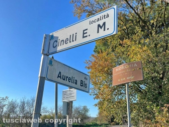 WhatsApp-Image-2022-12-12-at-17.29.08