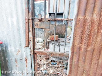 La discarica del parco del Carmine