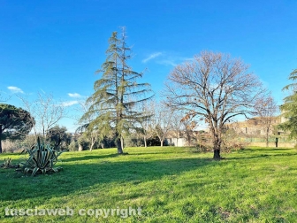 La discarica del parco del Carmine
