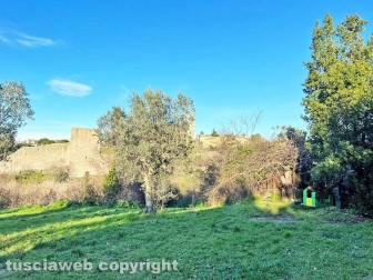 La discarica del parco del Carmine