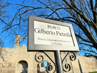 La discarica del parco del Carmine