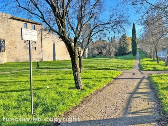 La discarica del parco del Carmine