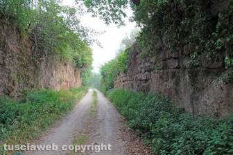 La discarica del Riello