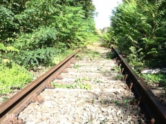 La ex Roma Nord nel degrado totale