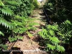 La ex Roma Nord nel degrado totale