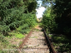 La ex Roma Nord nel degrado totale