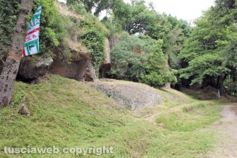 La Fai Cisl pulisce Castel d'Asso