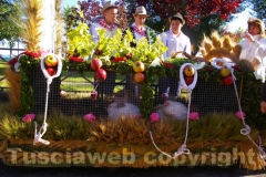 La festa della Madonna del Monte - Foto Fausto Cappelli