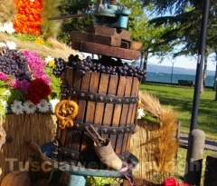 La festa della Madonna del Monte - Foto Fausto Cappelli