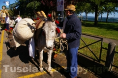 La festa della Madonna del Monte - Foto Fausto Cappelli