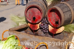 La festa della Madonna del Monte - Foto Fausto Cappelli