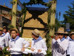 La festa della Madonna del Monte - Foto Fausto Cappelli