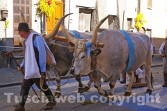 La festa della Madonna del Monte - Foto Fausto Cappelli