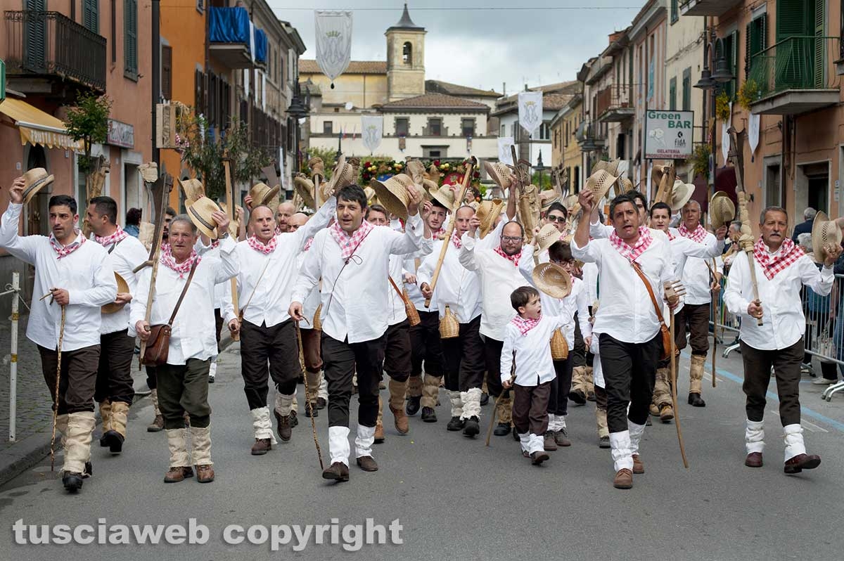 Marta - La festa della Madonna Santissima del Monte