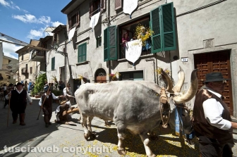 Marta - La festa della Madonna Santissima del Monte