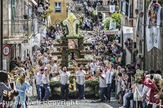 Marta - La festa della Madonna Santissima del Monte