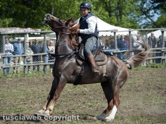 Tarquinia - La festa della Merca