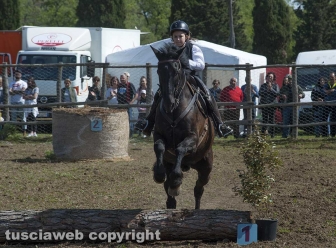 Tarquinia - La festa della Merca