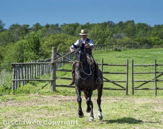 Tarquinia - La festa della Merca