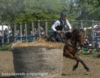 Tarquinia - La festa della Merca