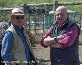 Tarquinia - La festa della Merca
