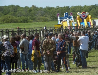 Tarquinia - La festa della Merca