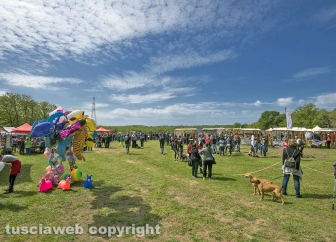 Tarquinia - La festa della Merca