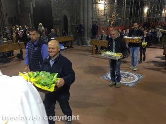 Viterbo - La festa di san Francesco