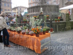 La fiera dell\'Annunziata