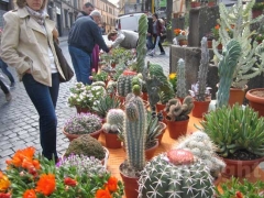 La fiera dell\'Annunziata