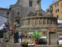La fiera dell\'Annunziata