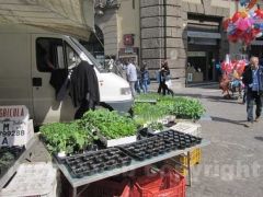 La fiera dell\'Annunziata