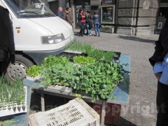 La fiera dell\'Annunziata