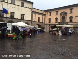 La fiera dell\'Annunziata