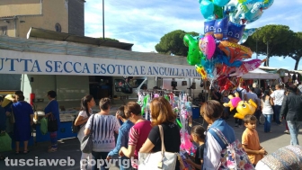 La fiera di santa Rosa