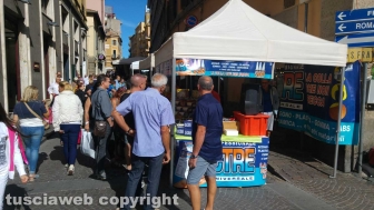 La fiera di santa Rosa