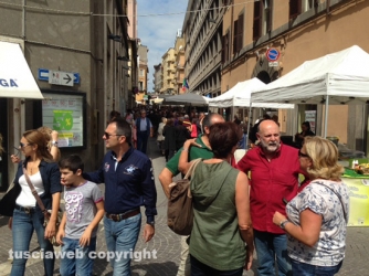 La fiera di santa Rosa