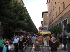 La folla in giro per la fiera