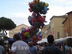 La folla in giro per la fiera