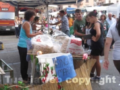 Le bancarelle della fiera