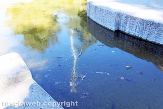 Viterbo - La fontana a sfera