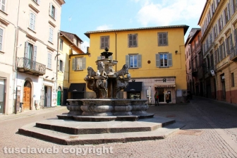 La fontana dei leoni